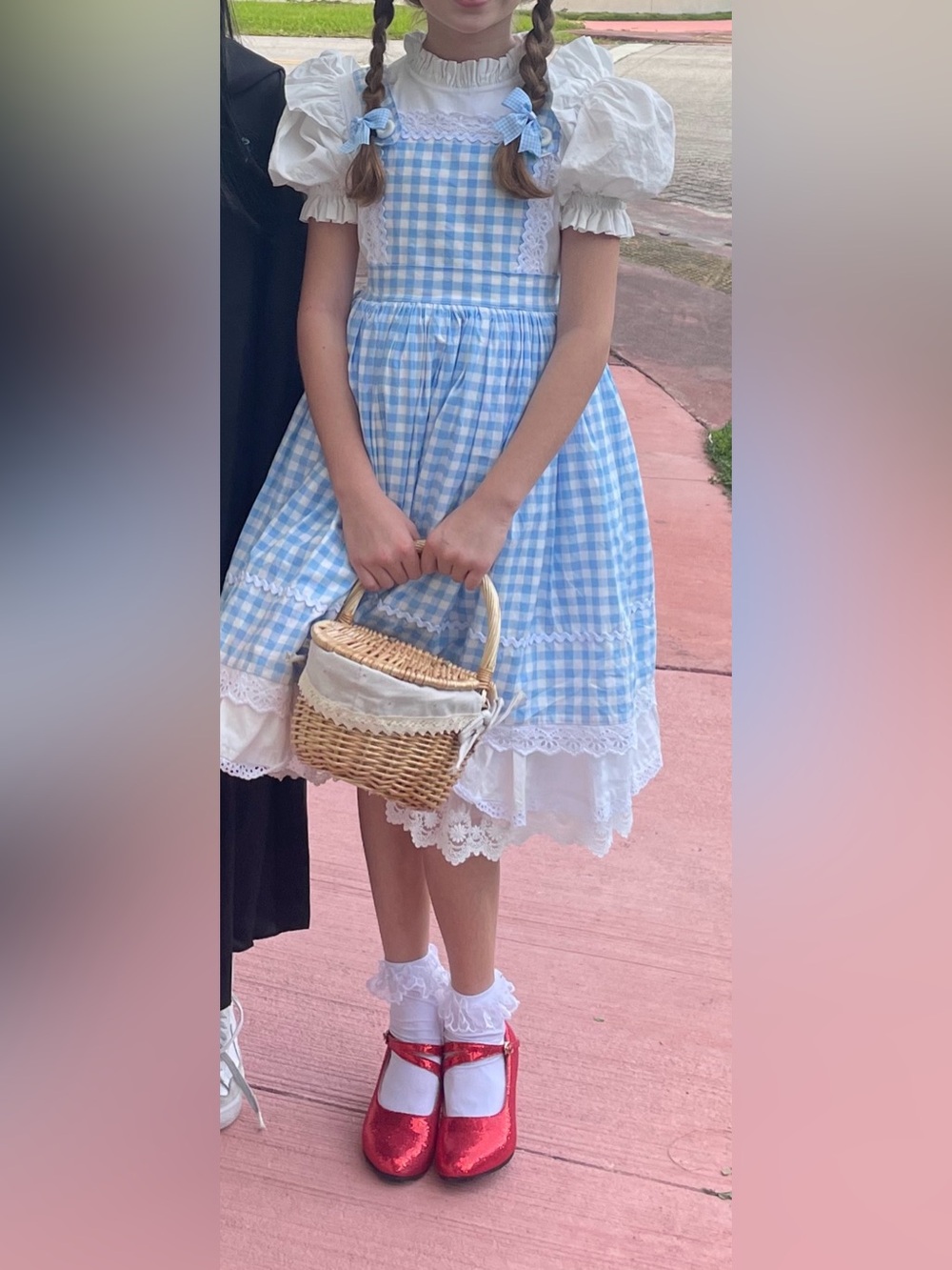 Dorothy from Wizard of Oz costume/ dress and wicker basket